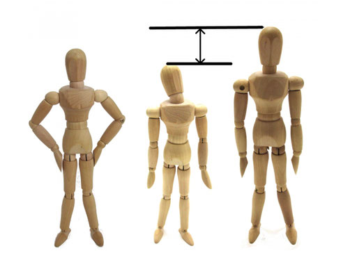 大人になると身長が縮むワケとは？