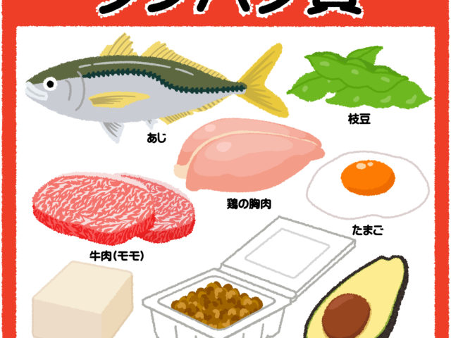 タンパク質を摂ってますか？？