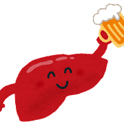 アルコールは体の中でどう分解される？？アルコール代謝のしくみについて知ろう！！