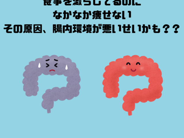 腸内環境が悪いとやせにくくなる？？腸とダイエットの関係について