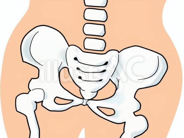 骨盤の歪みによってあなたの体は不調になっているかも・・・