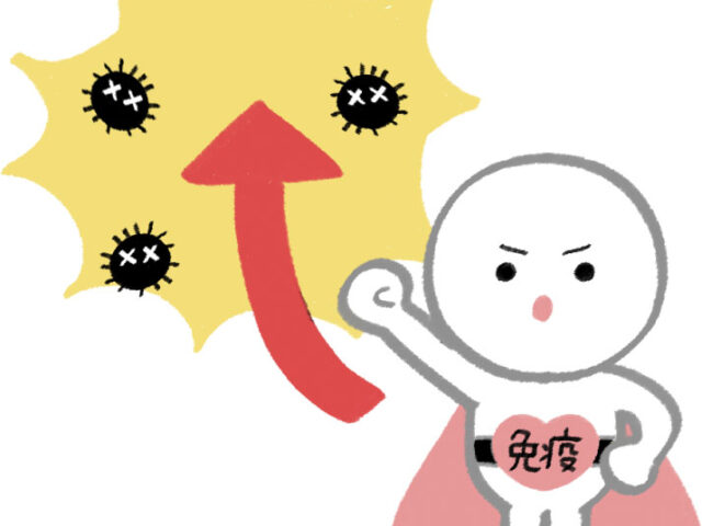 免疫力を高めて楽しいお正月を！